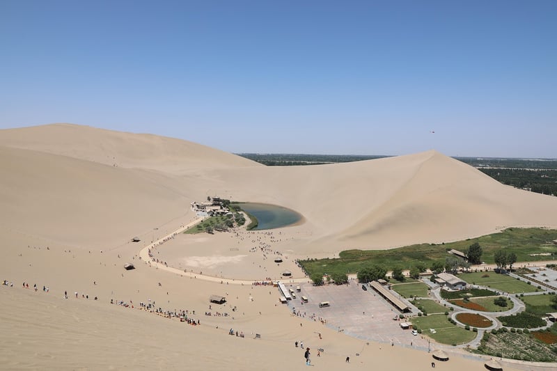 Mystical Oasis